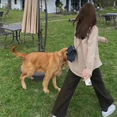 反派皇子走着瞧